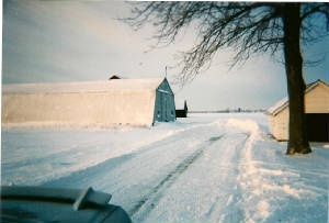 webassets/farm2001-2.jpg